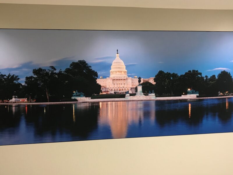 DC Capitol building on fabric after