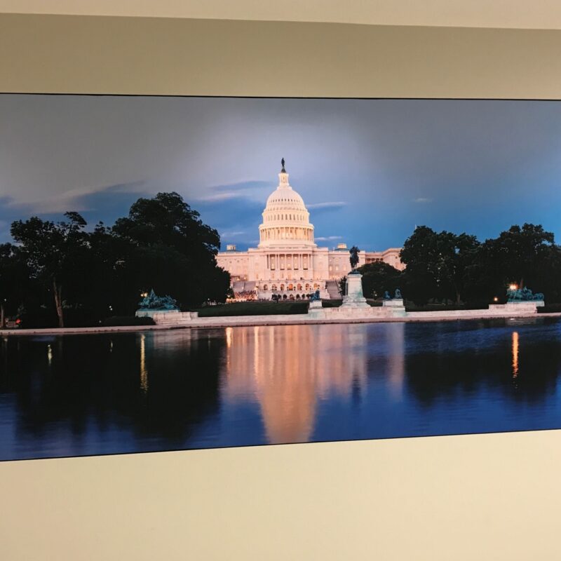 DC Capitol building on fabric after