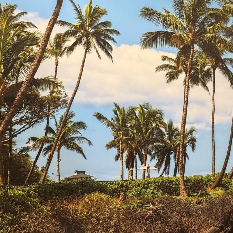 Vast Beach Office